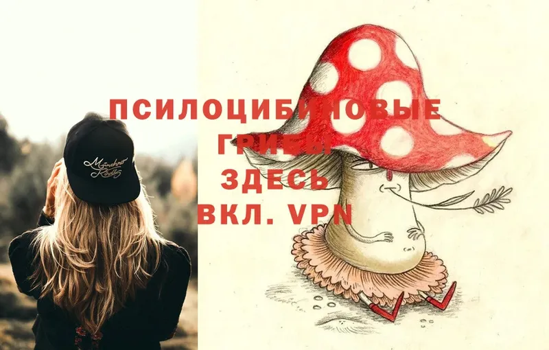 Псилоцибиновые грибы Cubensis  Нолинск 